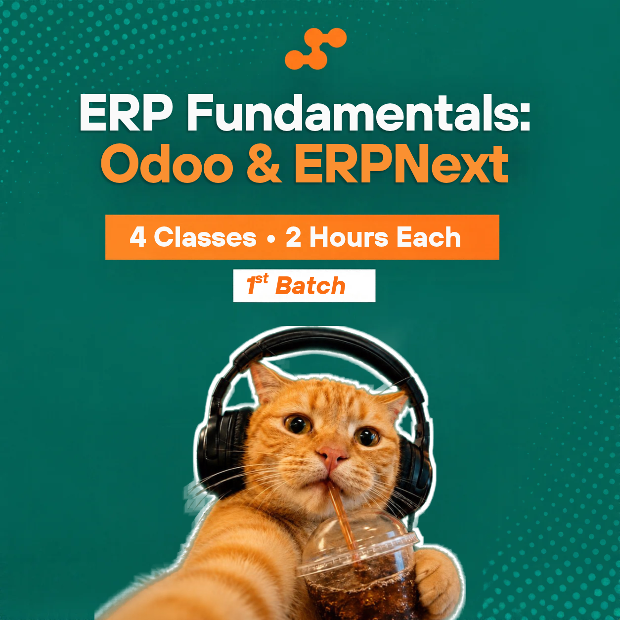 erp fundamentals poster 2